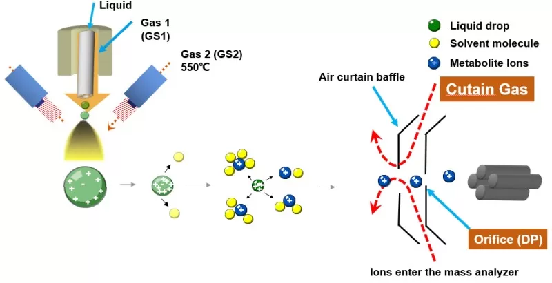 Working mechanism of electrospray ionization